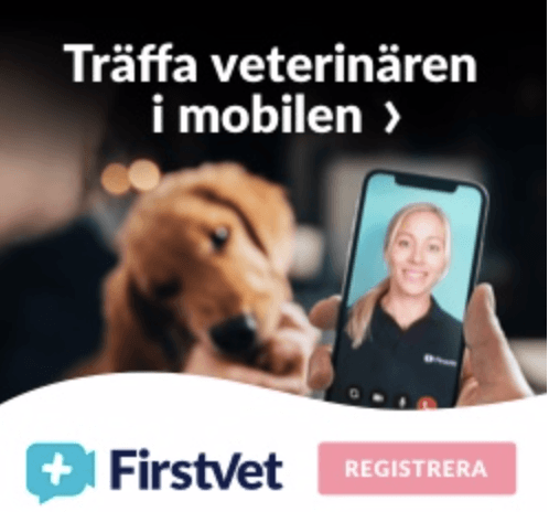 veterinär på nätet