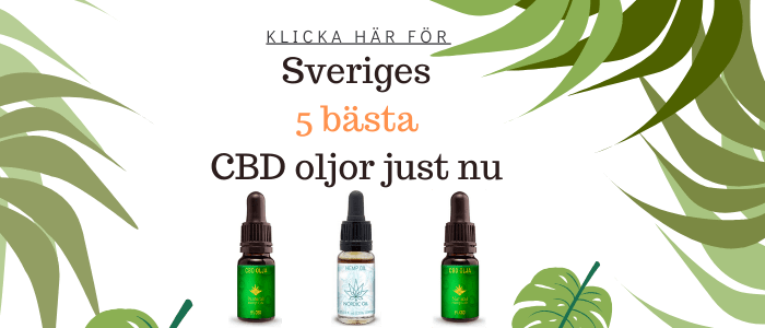 CBD olja sverige