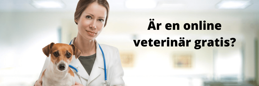 veterinär gratis